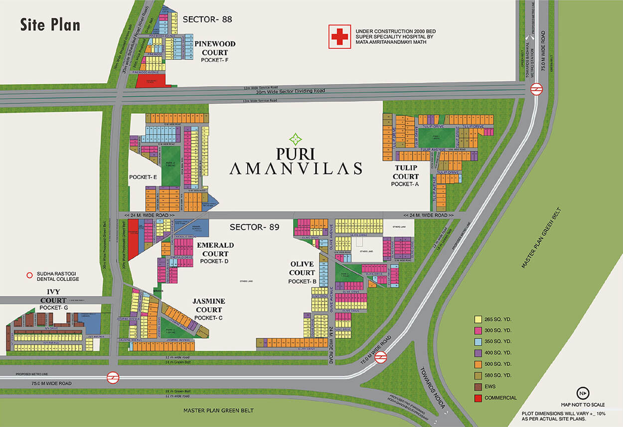 Site Plan